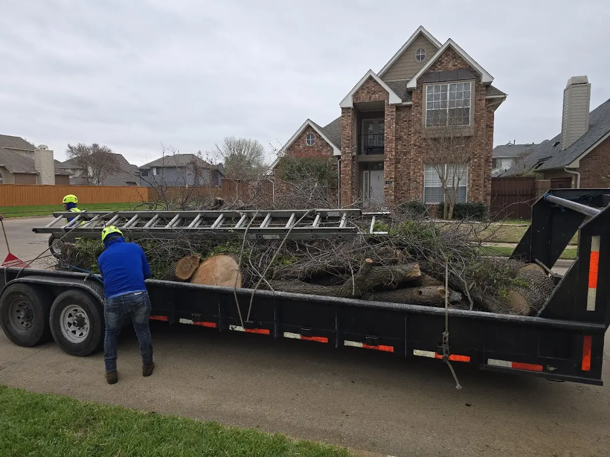 Expert Tree Pest Control with proper safety equipment in Letona